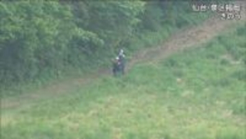 70代女性操縦のパラグライダー墜落　高さ20ｍの木に引っかかる　仙台・泉ヶ岳