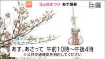「tbc桜まつり2026」が4月11日と12日に東北放送で開催！　満開の桜のもとステージイベントやグルメを満喫できます！