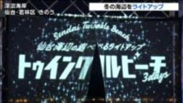 仙台の冬の海辺を照らす「トゥインクルビーチ」先行公開　「遊べるライトアップ」がコンセプト　子どもが楽しめる・写真映えするコーナーも
