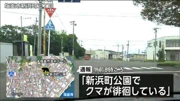 「クマが徘徊している」観光市場にも近い塩釜の沿岸部　クマの目撃相次ぐ