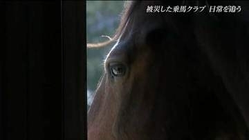 3.11震災で被災した乗馬クラブ 15年経った今も馬と向き合い続ける男性「変わったものと、変わらないもの」宮城