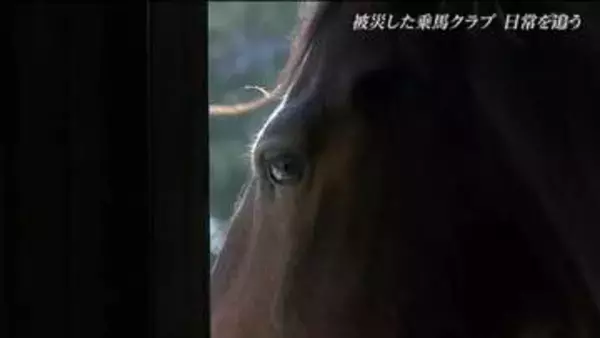 3.11震災で被災した乗馬クラブ 15年経った今も馬と向き合い続ける男性「変わったものと、変わらないもの」宮城