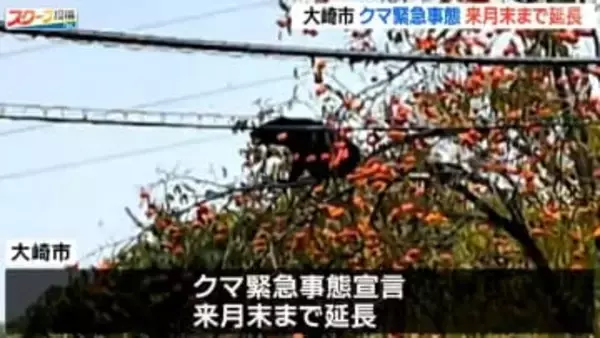 クマ「緊急事態宣言」12月まで延長決定 隣接市での人身被害を受けて 宮城・大崎市