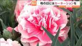 「宮城・柴田町で「カーネーション」のゆうパック発送式　5月10日の"母の日"用のプレゼントとして」の画像1