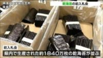 「すべて一級品」三陸の寒流にもまれて・宮城県産「乾海苔」初入札会で出来栄え確認 宮城・塩釜市