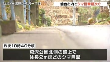 JR仙台駅から北東約３キロの住宅街でクマ目撃７件相次ぐ 同一のクマうろついているか 宮城県12月のクマ目撃数は過去最多に