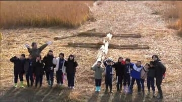 「北上のヨシ原はきれいだなと思う」小学生が3メートルほどに育ったヨシの刈り取りを体験　宮城県・石巻市