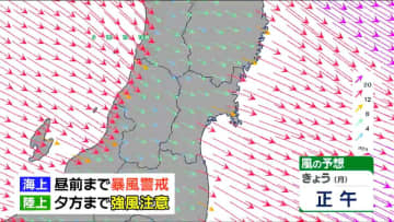 海上では暴風に警戒　最大瞬間風速25m以上を観測した場所も…夕方まで強風に注意が必要　tbc気象台
