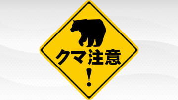 28日～29日　宮城県内のクマ目撃情報　（29日午後7時現在）