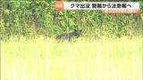 「宮城県が全域に発令していた「クマ出没警報」を「注意報」に7月18日から引き下げることを決定」の画像1