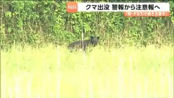 宮城県が全域に発令していた「クマ出没警報」を「注意報」に7月18日から引き下げることを決定