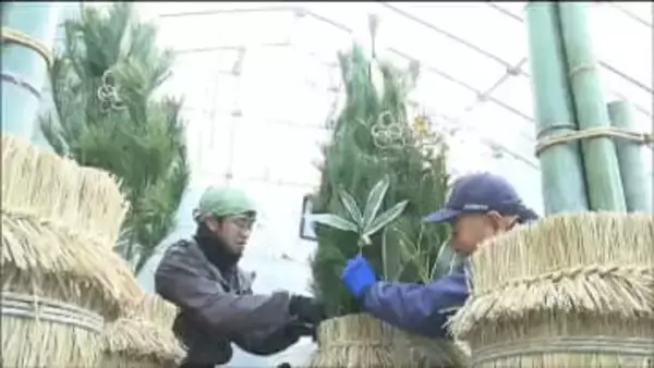 高さは1.8メートル　地元産「アカマツ」や「モウソウチク」用いた門松づくり　職人たちによる作業急ピッチで進む　宮城・大和町