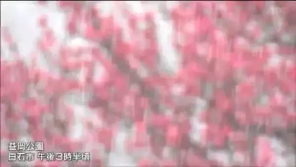 4日は警報級の大雪か　宮城県公立高校入試は1時間遅い開始決める（1教科目国語午前10時5分～、変更の場合4日午前6時半頃までに連絡）