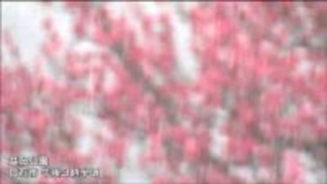 4日は警報級の大雪か　宮城県公立高校入試は1時間遅い開始決める（1教科目国語午前10時5分～、変更の場合4日午前6時半頃までに連絡）