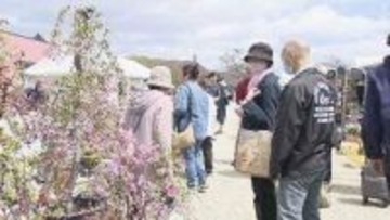 仙台の春の風物詩　植木市始まる