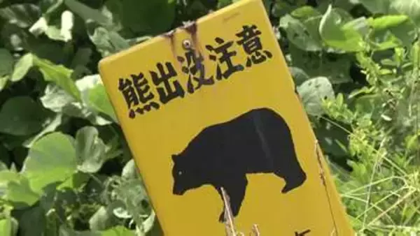 大和町でクマが相次いで目撃　同一個体か…　住宅街や温泉街でも　警察が注意を呼びかけ　宮城県
