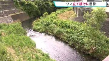 住宅地でクマが立て続けに2回目撃される　同一個体か　現場周辺は7月クマ目撃が相次いでいる　仙台・宮城野区
