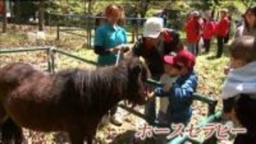 ホースセラピーで「癒しのひと時」　大自然の中で馬との触れ合いイベント　宮城・富谷市