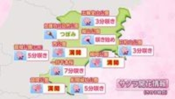 【7日宮城の天気】東部陸上で最大瞬間風速30ｍ暴風のおそれ　昼前から西風強まり花粉大量飛散【桜情報・雨雲シミュレーション掲載】tbc気象台