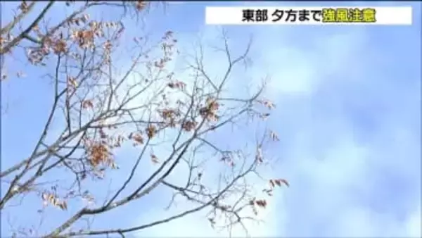 冬型の気圧配置の影響　宮城県内では西寄りの風強まる　ピーク過ぎるも夕方まで強風に注意