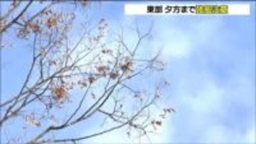 冬型の気圧配置の影響　宮城県内では西寄りの風強まる　ピーク過ぎるも夕方まで強風に注意