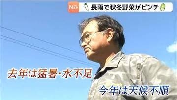 『水不足』から一転『長雨』に悩まされる　秋野菜がピンチ「ダイコンやハクサイなど」の種まきができない状態　宮城・登米市