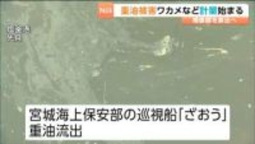 巡視船から漏れ出た「重油」実は15倍！これまでは「1キロリットル以上」と宮城海上保安部は説明　宮城・塩釜市