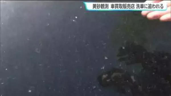 「車に付着した"黄砂"まずは水で洗い流して！」車買取販売店で聞いた"黄砂"汚れの洗車方法とは