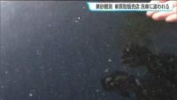 「車の付着した"黄砂"ますは水で洗い流して！」買取販売店で聞いた"黄砂"汚れの洗車方法とは