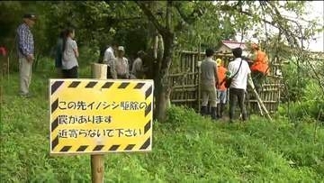 地域住民が手づくりし設置した箱わなで親子とみられるイノシシ6頭が捕獲される　イノシシの農作物被害1200万円超えの対策が課題　宮城・加美町