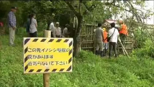 住民設置の竹製箱わなで「イノシシの親子6頭」捕獲　農作物被害1200万円超えの対策が課題　宮城・加美町