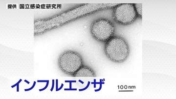 宮城県インフルエンザ流行入り　感染者数は1医療機関あたり2.44人で前の週に比べ倍増　仙台市では6つの小中学校で学年閉鎖や学級閉鎖