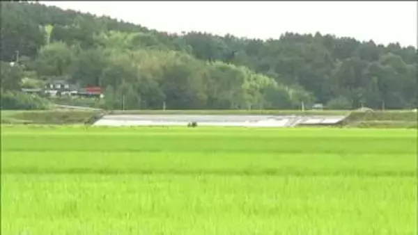 大雨の影響で涌谷町内の川が氾濫　1255世帯に避難指示　宮城