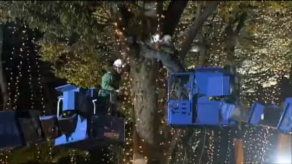 「４０年目の節目お祝い的なイベントも」光のページェントLED取付作業開始　仙台