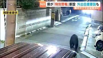 クマ特別警報を新設　外出自粛要請も　5月の目撃は前年の2倍以上　宮城県