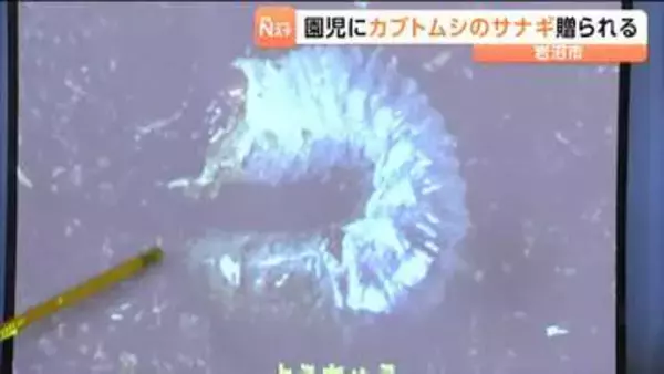 「カブトムシの“アレ”の話がおもしろかった」県立支援学校の生徒たちが園児にカブトムシのサナギをプレゼント　宮城・岩沼市
