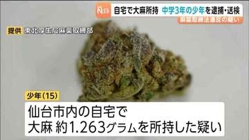 中学3年15歳の少年が自宅に1.263gの大麻所持容疑で現行犯逮捕「捜査に支障きたす」認否明らかにせず　仙台