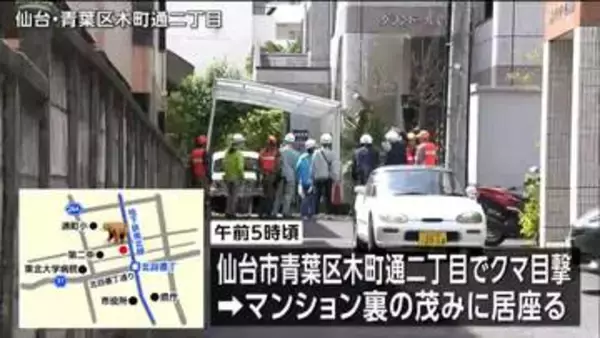 【速報】仙台市街地の茂みにいたクマに緊急銃猟、午後7時半頃駆除　仙台・青葉区
