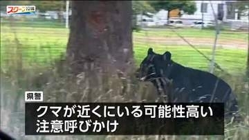 「クマが徘徊している」体長1mのクマが沿岸部の公園や周辺の路上で連続して目撃される　宮城・塩釜市
