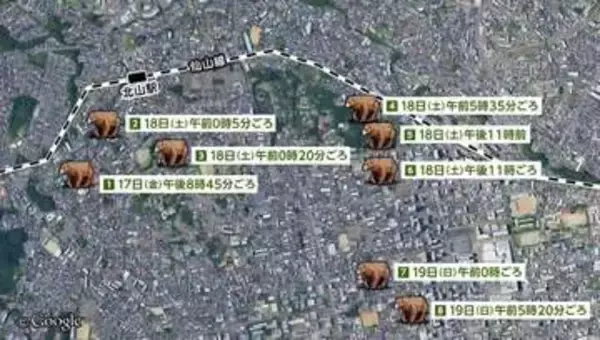 クマが仙台中心部に…ドローンで居場所を特定し駆除　クマの移動経路とは？