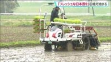 日本酒の原料となるコメの田植え始まる　蔵元「一ノ蔵」が地元農家から借り受けている田んぼ　宮城・大崎市