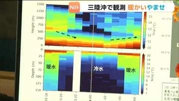 「暖かいやませになっている」かつて冷害もたらした北東の風は今「暑さをやわらげるぐらい」の存在に 観測で見えた海の変化