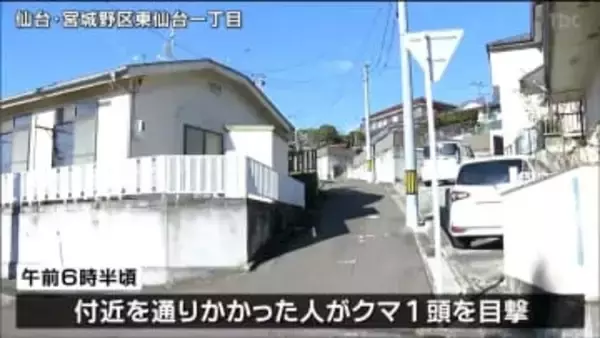 東仙台駅付近でまたクマの目撃情報　体長約１ｍ　周辺で連日の目撃情報　仙台