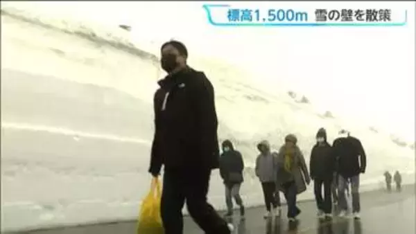 最高積雪は10ﾒｰﾄﾙ！標高1500ﾒｰﾄﾙ宮城･蔵王エコーライン「雪の壁」を散策