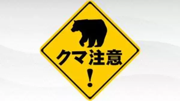 宮城・大崎市で民家の雑木林に現れたクマ緊急銃猟