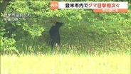 【クマ映像あり】市役所近くにもクマ目撃相次ぐ　時間をおいて再び現れる　宮城・登米市