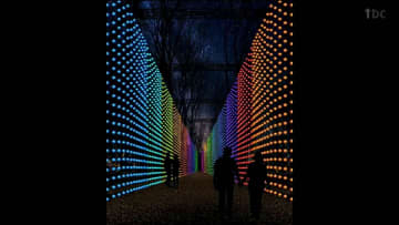 冬の仙台を彩る！新イルミネーション「SENDAI Bright-Nights STORY」開催決定（2026年1月19日～2月28日）