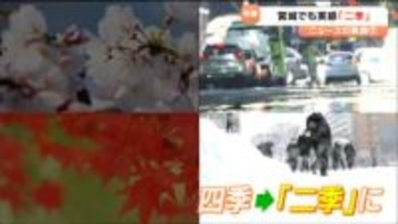 農家も「秋と春返してほしい」　宮城でも実感"二季"の一年　流行語大賞のトップ10入り　要因は温暖化で起こりやすくなった「偏西風の蛇行」とその向きに