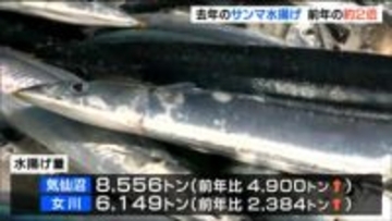 "近年不漁続く" サンマ 水揚げ量1万4700トン　前年の約2倍に増加　宮城・気仙沼は全国2位