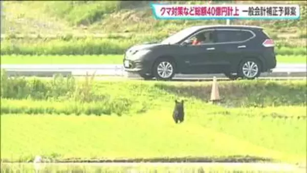 ハンター養成用射撃場の整備やクマの通り道「河川敷」の草刈りに9億円超　宮城県が40億円補正予算案を提出へ